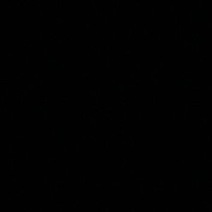 Meet your Posher, Shamshamiya